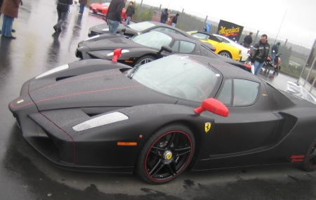 Ferrari Enzo Black Mated